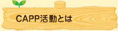 sec1_image