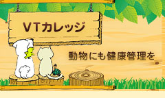 main_title