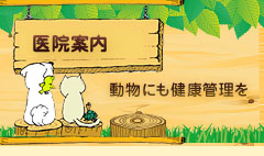 main_title