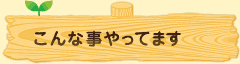 sec1_image