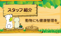 main_title