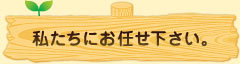 sec2_image